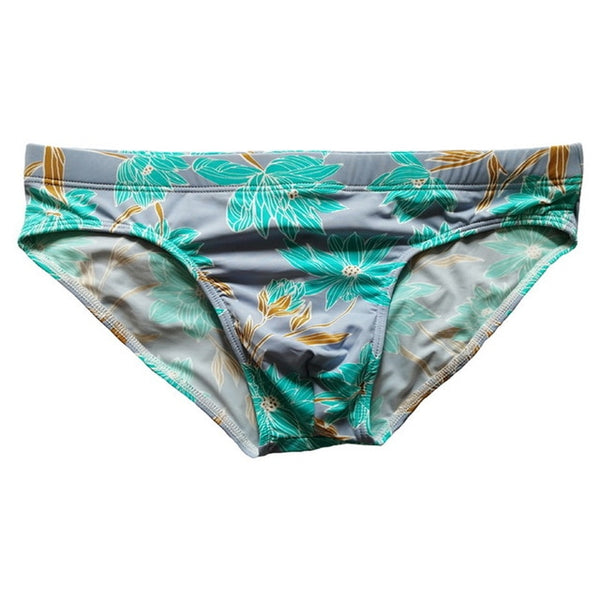 Printed Hipster briefs